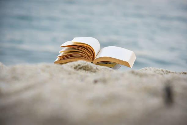 istock Open book at beach during summer by the sea. Reading summer book 979454554