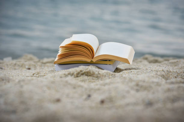 istock Open book at beach during summer by the sea. Reading summer book 979454626