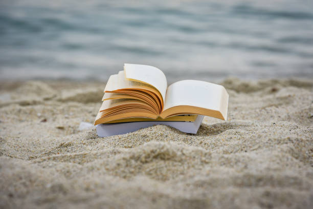 istock Open book at beach during summer by the sea. Reading summer book 979454696