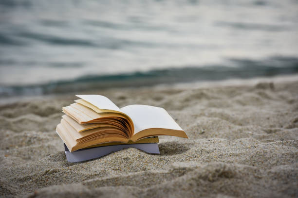 istock Open book at beach during summer by the sea. Reading summer book 979454800