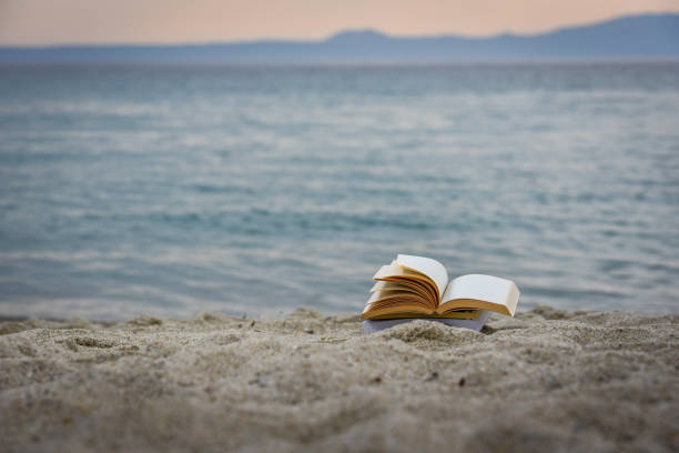 istock Open book at beach during summer by the sea. Reading summer book 979454854