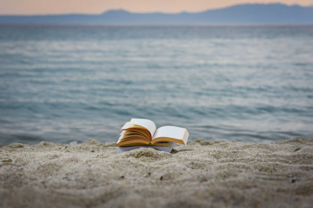 istock Open book at beach during summer by the sea. Reading summer book 979456952