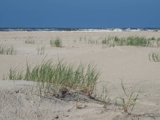 istock the german island juist 979463088