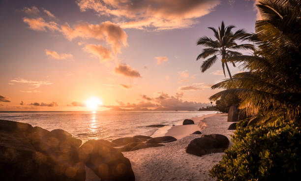 istock Amazing sunrise on Seychelles island 979463912