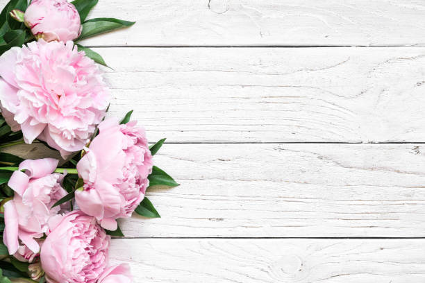istock pink peony flowers over white wooden table with copy space. wedding invitation. flat lay 979465238