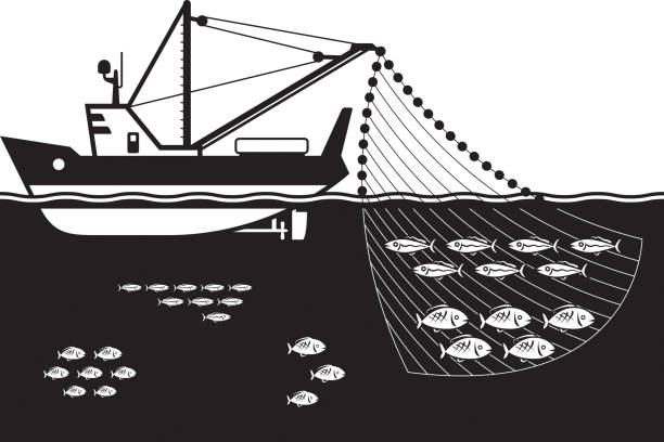 1,100+ Fishing Boat Net Stock Illustrations, Royalty-Free Vector