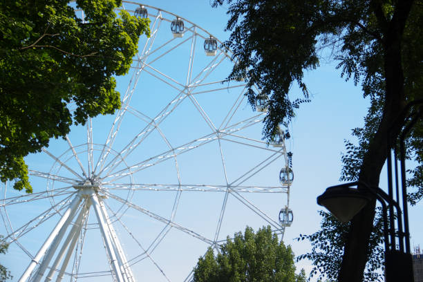 istock white ferris wheel over blue sky and branches of trees 979486986