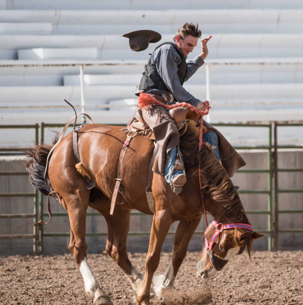istock Rodeo cowboy and wild horse 979488606