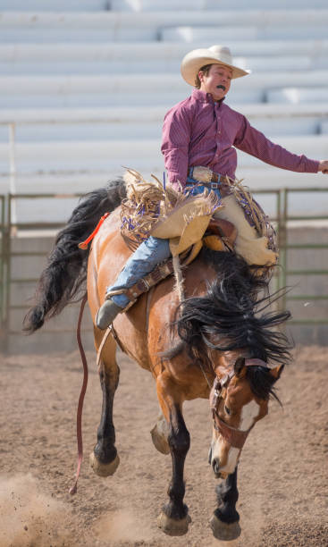 istock Rodeo cowboy and wild horse 979488728