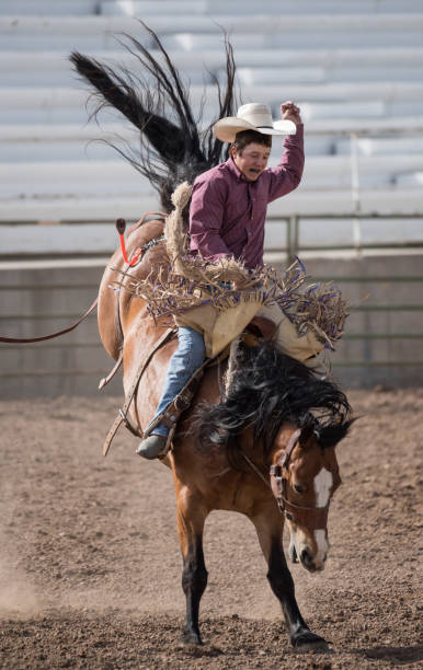 istock Rodeo cowboy and wild horse 979488888