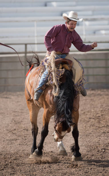 istock Rodeo cowboy and wild horse 979489066