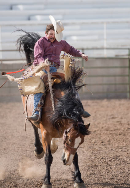 istock Rodeo cowboy and wild horse 979491138
