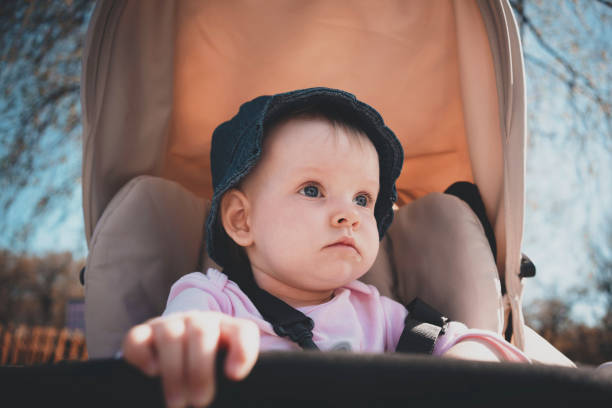 istock Little girl. Baby in the stroller. 979491298