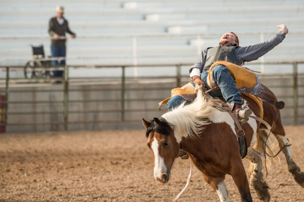 Free Stock Photo of Rodeo Crash | Download Free Images and Free ...