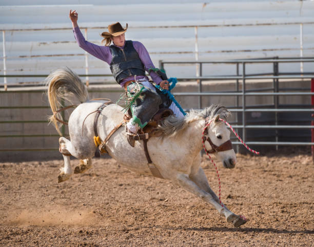 istock Rodeo cowboy and wild horse 979492044