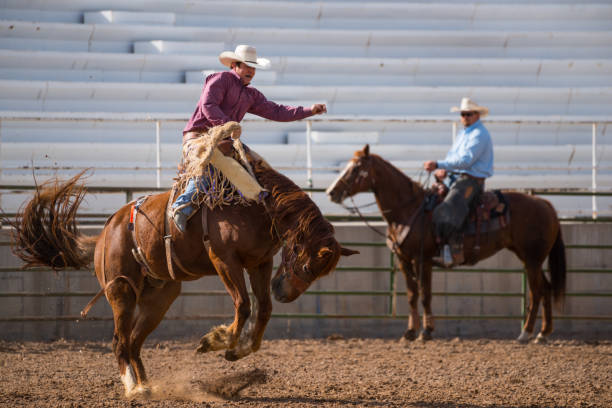 istock Rodeo cowboy and wild horse 979492368