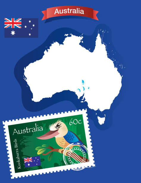 ilustrações, clipart, desenhos animados e ícones de austrália e pássaros kookaburra - kakadu national park australia bird northern territory