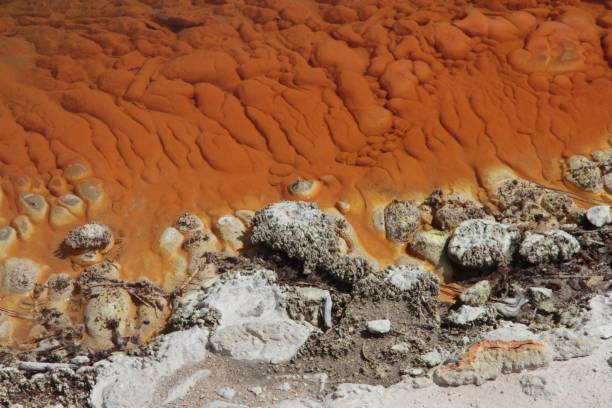istock Rotorua, New Zealand, Part 1 979502780