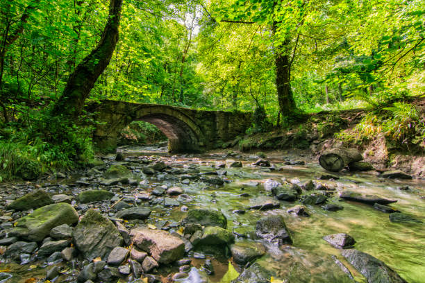 istock Devils basin Ewloe Flintshire North Wales 979508988