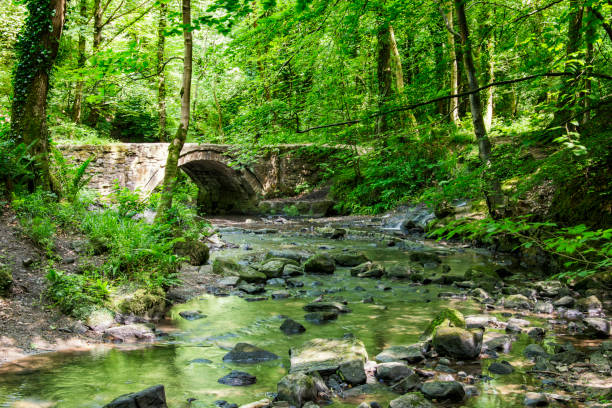 istock Devils basin Ewloe Flintshire North Wales 979509004
