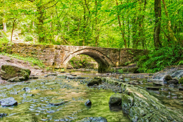 istock Devils basin Ewloe Flintshire North Wales 979509022