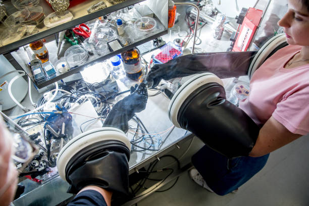Researchers Preparing Samples in Glove Box for Measuring Transient Photocurrent in Organic Semiconductors Researchers Preparing Samples in Glove Box for Measuring Transient Photocurrent in Organic Semiconductors. glove box stock pictures, royalty-free photos & images