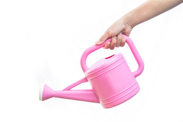 istock Cropped Hand Holding Watering Can Over White Background 979512540