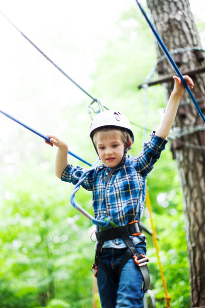 istock The little boy climbing in the rope park 979528106