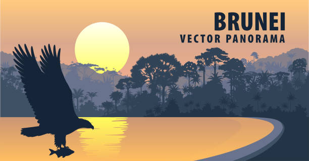 ilustraciones, imágenes clip art, dibujos animados e iconos de stock de panorama de vector de brunei darussalam con águila de mar de vientre blanco - bandar seri begawan