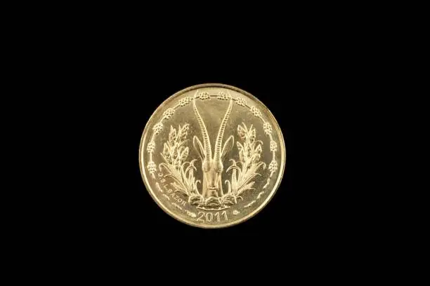 Photo of Golden 5 West African Franc coin