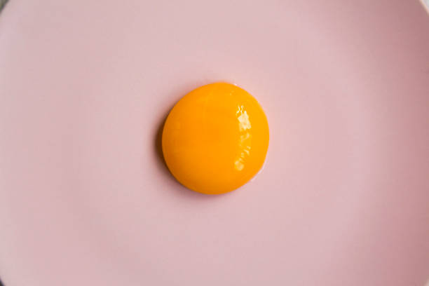 istock Egg yolk on a pink plate, top view. Closeup. 979562878