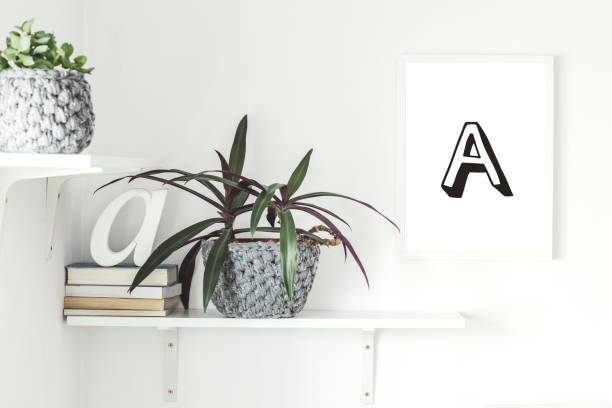 istock Home interior with mock up frame, books and modern plants. Shelf concept in scandi interior. 979566242