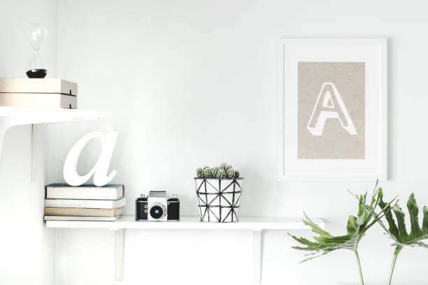 istock The white, stylish interior with concept shelfs, mock up poster frame, retro camera and cactus in hipster pot. Modern room with white walls. 979566368