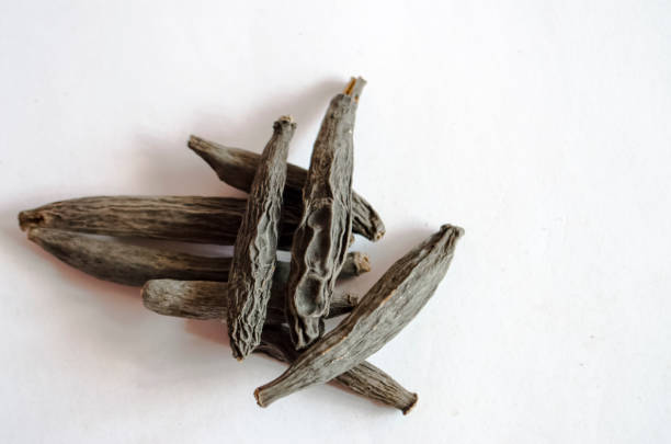 istock Spices Kapok Buds or Marathi Moggu 979571134