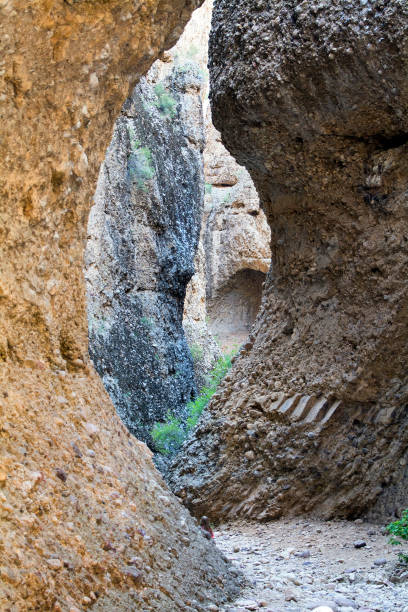 istock Green forest and rock canyon 979576378
