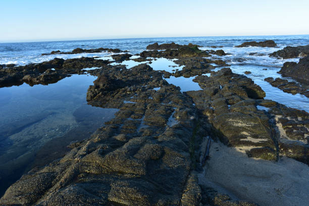 istock rocky Pacific coast shoreline and tidal pools Baja, Mexico 979579344