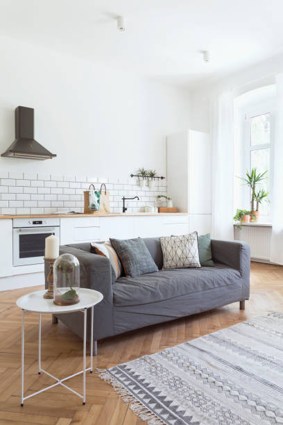 istock Modern and design scanidnavian open space with kitchen and living room. Sunny and bright space whit white brick walls , a lot of plants and sofa. 979584962
