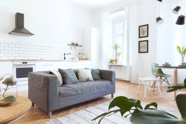 istock Modern and design scanidnavian open space with kitchen and living room. Sunny and bright space whit white brick walls , a lot of plants and sofa. 979584980