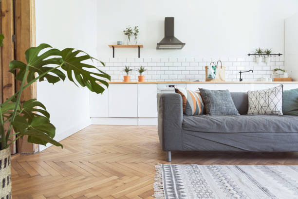 istock Stylish scandinavian open space with kitchen accessories, plants and sofa. Design room with white walls. 979585376