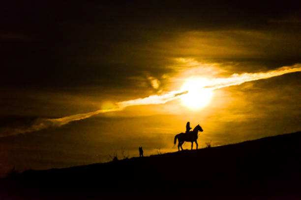 istock Cowgirl riding at supermoon rising 979585950