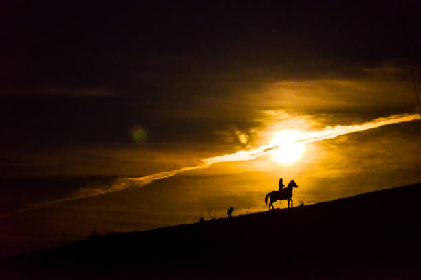istock Cowgirl riding at supermoon rising 979585964