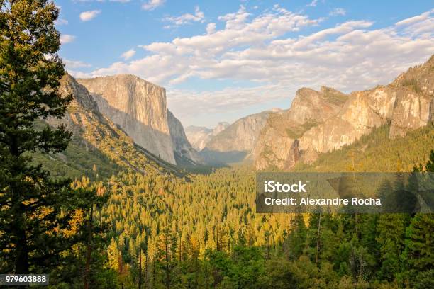 Photo libre de droit de Yosemite National Paek banque d'images et plus d'images libres de droit de Parc National de Yosemite - Parc National de Yosemite, Chutes de Yosémite, Famille du cerf