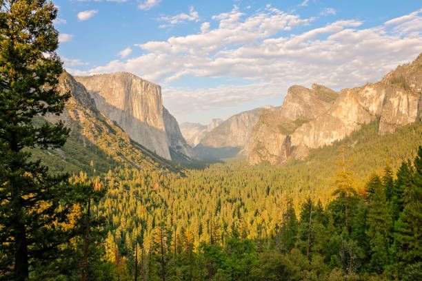 istock Yosemite National Paek 979603888