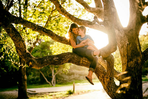 istock Mother and son playing in a tree at sunset while camping 979620156