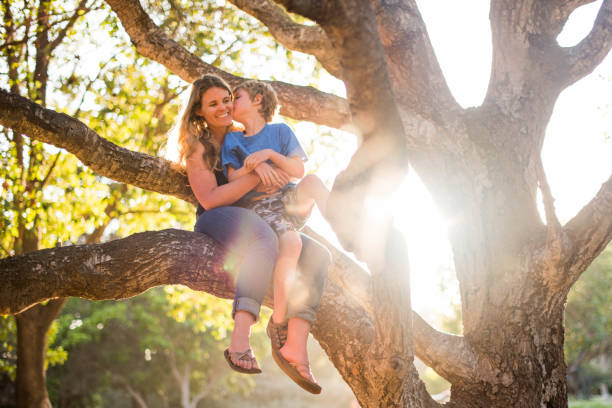 istock Mother and son playing in a tree at sunset while camping 979620170