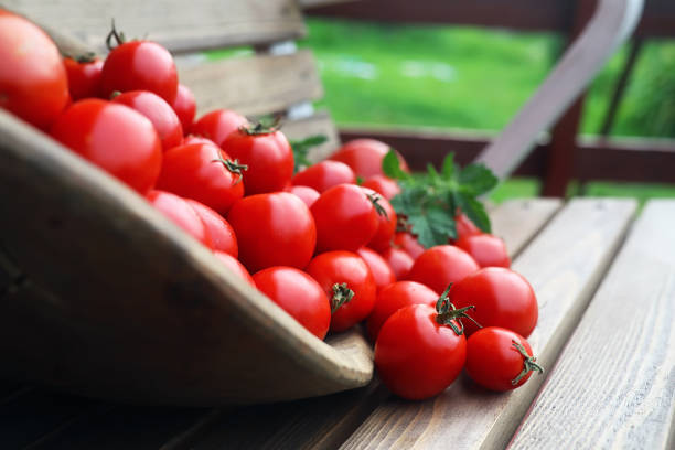 Close-up shot of a bunch of fresh organic cherry tomatoes on a wooden cutting board