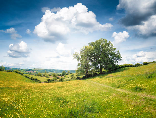 Landscape View In Gloucestershire, England stock photo