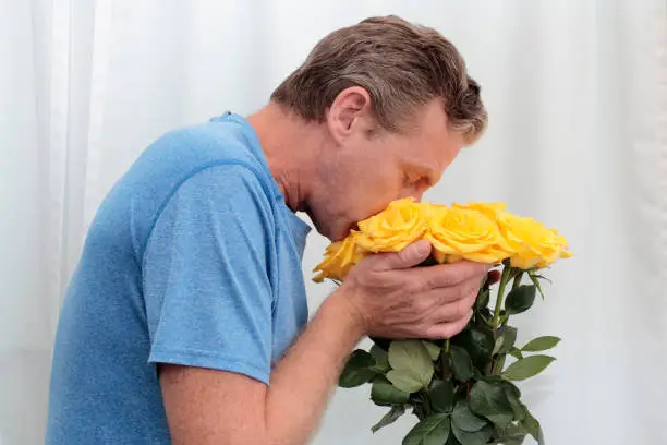 Mature man with his face in a yellow roses bunch. Yellow roses being held, smelled by an older man. One male sniffing a dozen yellow roses with tiny pink spots while holding them close up to his face