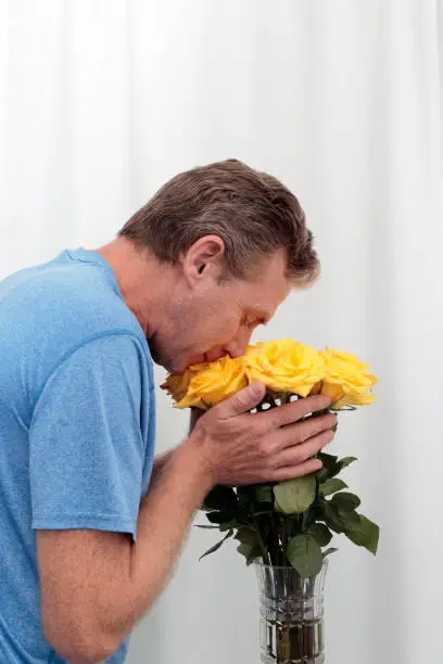 Male holding and smelling a bunch of yellow roses. Bouquet of yellow roses being held and smelled. Dozen yellow roses arrangement with tiny pink streaks being embraced by a mature man who is appreciating their scent.
