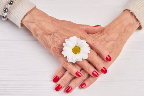 Female manicured hands and chrysanthemum.